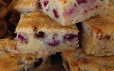 BLONDIES CON ARÁNDANOS